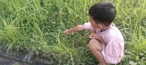 Anak Bukan Putri Malu: Kita yang Sering Memaksa Mereka Menguncup