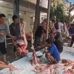 Gerak Cepat! SD Musix Sembelih Kurban Sebelum Subuh, Distribusi 700 Kupon untuk Warga