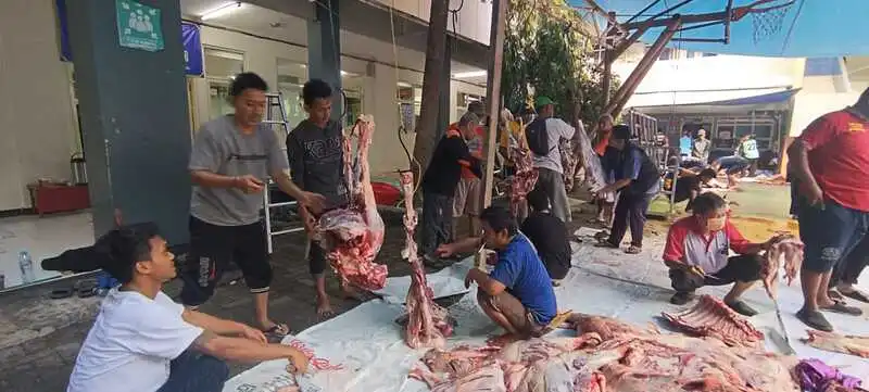 Gerak Cepat! SD Musix Sembelih Kurban Sebelum Subuh, Distribusi 700 Kupon untuk Warga