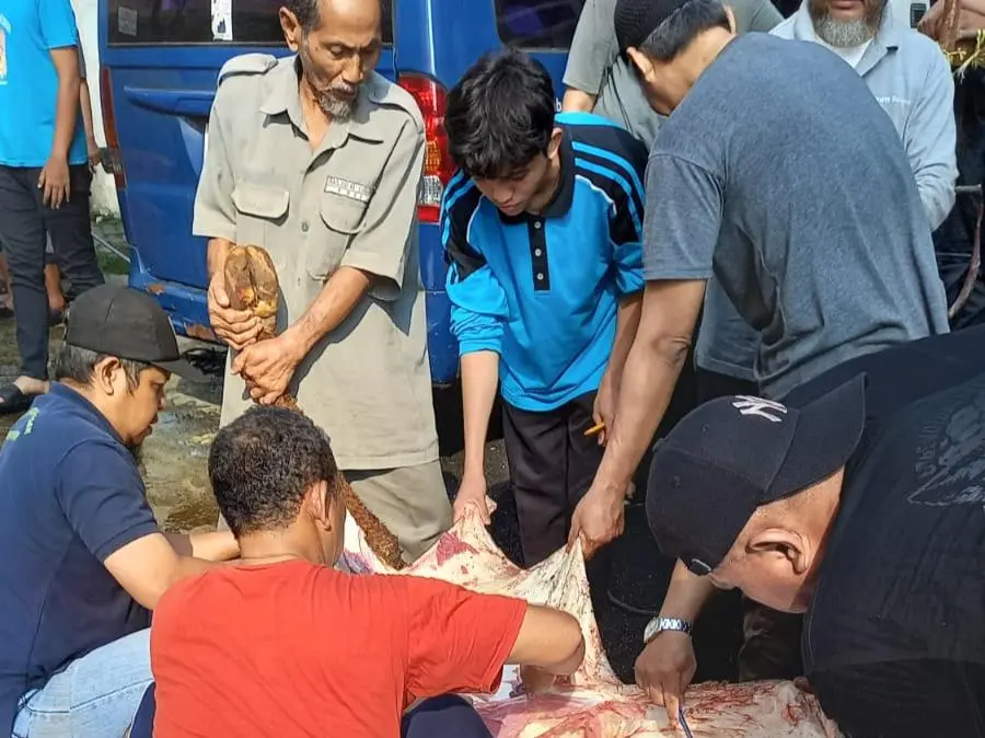 Pasca Iduladha, Apakah Berhenti Berkurban?
