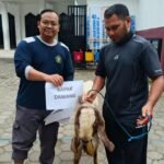 Pelaksanaan Kurban 1447 H Matsamutu Usung Semangat Kebersamaan dan Kesalehan Sosial