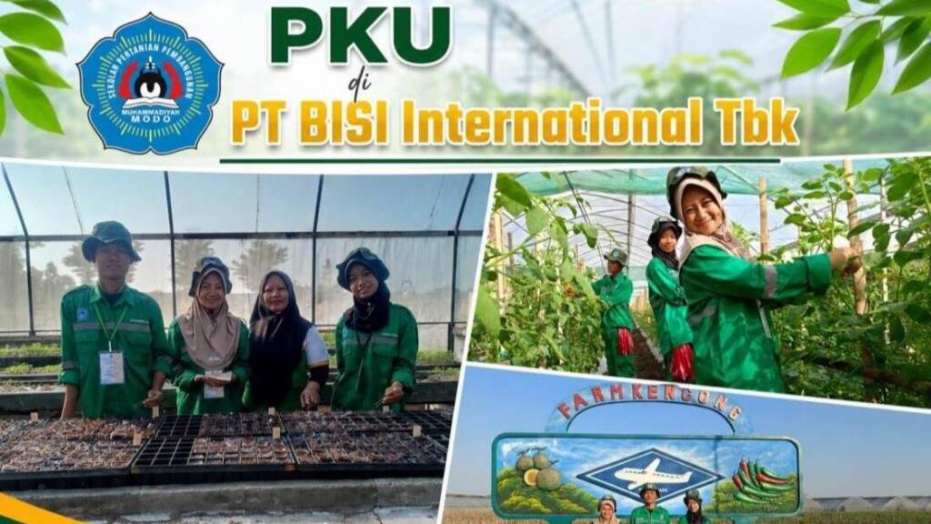 Bahagia dan Penuh Pengalaman, Siswa SMK Muhammadiyah 6 Modo PKU di PT BISI International Tbk