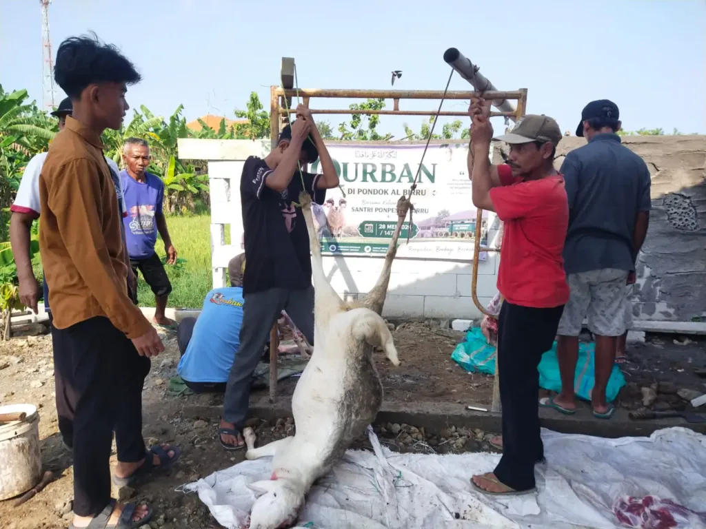 Pondok Al-Birru Sembelih Hewan Kurban