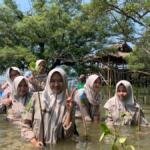 HW SMAMDA Sidoarjo Ajak Siswa SMP Tanam 250 Bibit Mangrove di Wonorejo