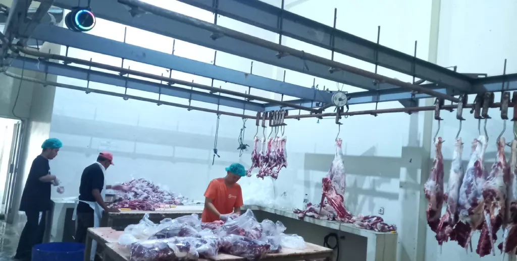 92 Sapi Dipotong Sehari, Kurban Lazismu Jatim di Bali Gerakkan Ekonomi hingga Pendidikan Veteriner