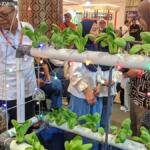STEAMS Aqua Farming SDMM Tampil di STEM Fest 2026