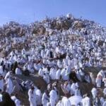 Wukuf di Arafah, Jejak Agung Rasulullah Menyatukan Umat dan Panggilan Suci Menuju Baitullah