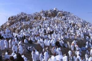 Wukuf di Arafah, Jejak Agung Rasulullah Menyatukan Umat dan Panggilan Suci Menuju Baitullah
