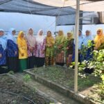 Kebun Edukasi TK Aisyiyah 42 GBA Kebomas‎ Jadi Perhatian Tim Monev PAUD Dasmen PWA Jatim 