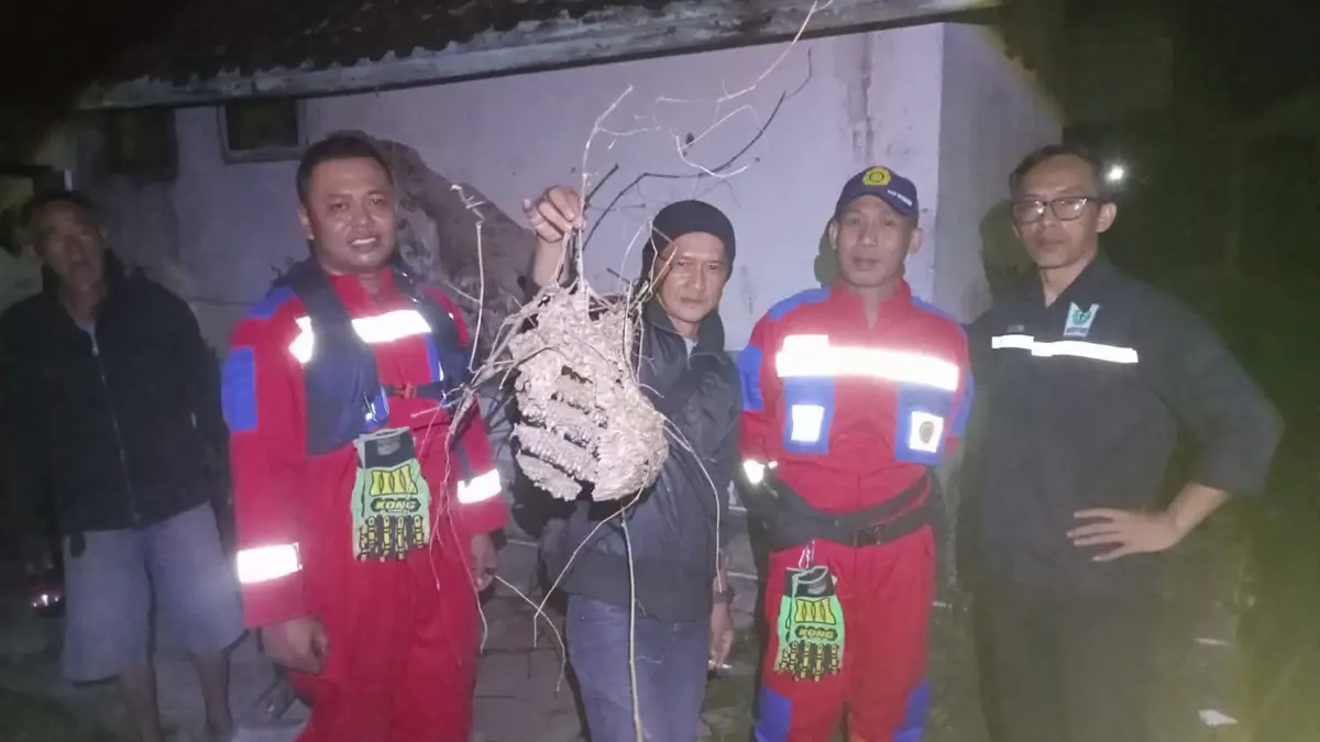 SUMU Catalyst dan Lumiguard Edukasi Pelaku Usaha tentang Pengendalian Hama (2)