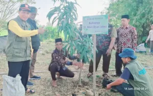 MLH PDM Gresik dan PCM Benjeng Gerakkan Dakwah Hijau melalui Penanaman Pohon Produktif