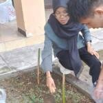 Praktikum Hortikultura UMJT Bekali Mahasiswa Keterampilan dan Jiwa Wirausaha
