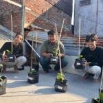 Progres Riset Wani Nandur, Tim OPSI SMAMX Uji Efektivitas Desain Kebun Permakultur di Lahan Perkotaan