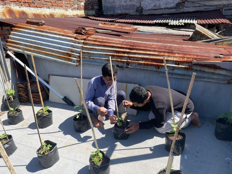 Progres Riset Wani Nandur, Tim OPSI SMAMX Uji Efektivitas Desain Kebun Permakultur di Lahan Perkotaan