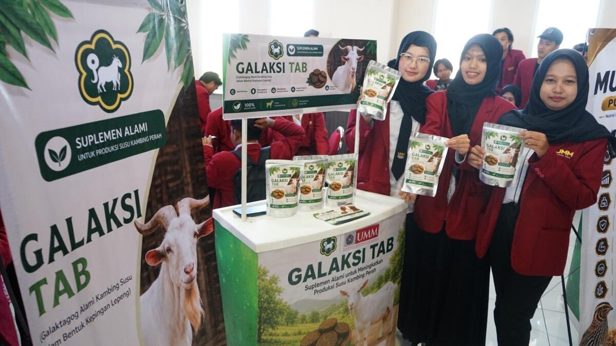 Feed Innovation Expo 2026, Mahasiswa Peternakan UMM Ciptakan Suplemen Ternak Pengganti Antibiotik