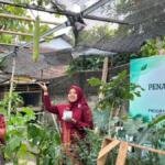 Kembangkan Greenpreneurship, SMK Muhammadiyah 8 Siliragung Budidayakan Loofah sebagai Spons Ramah Bumi