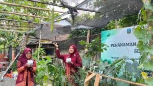 Kembangkan Greenpreneurship, SMK Muhammadiyah 8 Siliragung Budidayakan Loofah sebagai Spons Ramah Bumi