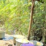 Keripik Gadung Desa Sumberjati Berpotensi Jadi Produk Unggulan, Mahasiswa KKN Umsida Siapkan Pendampingan