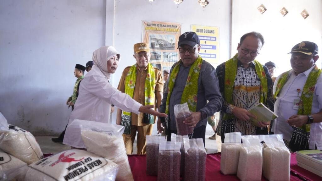 UMM Bangkitkan Pertanian Organik Bondowoso, Produktivitas Panen Tembus 8,5 Ton per Hektare