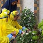 Air Bekas Cucian Beras Jadi Media Belajar Peduli Lingkungan di MPLS hari ke-2 SD Muhammadiyah 18 Surabaya