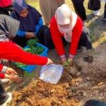 Kolaborasi KKN P 60 dan PKK Umsida Gelar Program Akar untuk Hijaukan Desa Jati