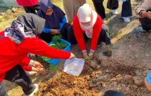 Kolaborasi KKN P 60 dan PKK Umsida Gelar Program Akar untuk Hijaukan Desa Jati