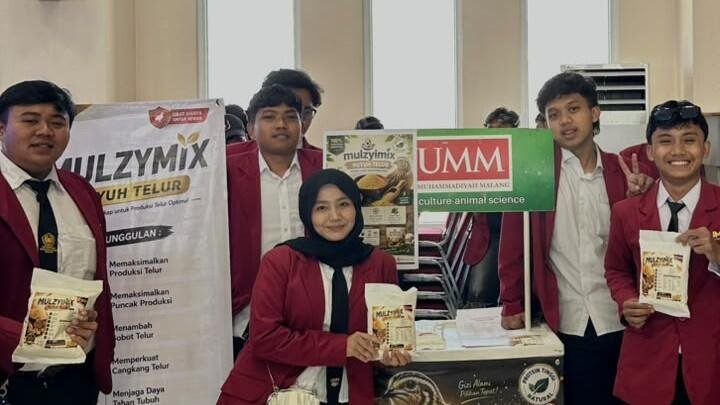 Mahasiswa UMM Ciptakan Mulzymix, Pakan Puyuh Berbasis Multienzim untuk Tingkatkan Produktivitas Ternak