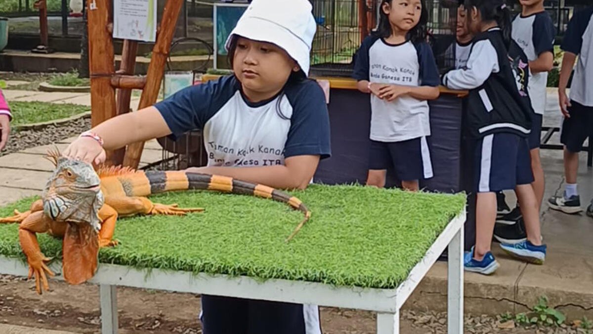 Pembelajaran Mendalam Mulai Diterapkan di Paud, Anak Diajak Aktif Berpikir, Bereksplorasi, dan Berkolaborasi