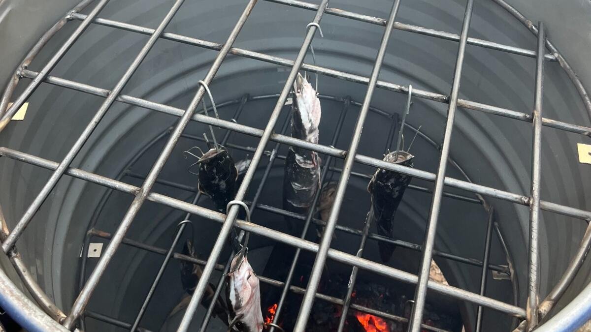 Dari Ikan Segar Menjadi Lele Asap, KKN MAs Kelompok 45 Dorong Hilirisasi Perikanan Buwek