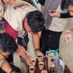 Demo Sari Toga: Inovasi Minuman Berbahan Toga di Desa Sekarmojo