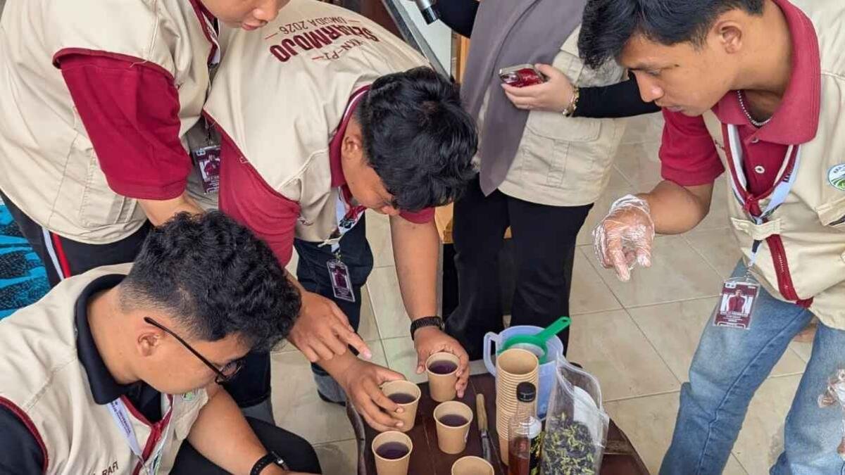 Demo Sari Toga: Inovasi Minuman Berbahan Toga di Desa Sekarmojo