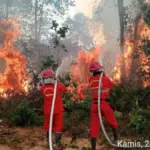Karhutla Landa Kalimantan, Kemendikdasmen Pastikan Hak Belajar Murid Tetap Berjalan