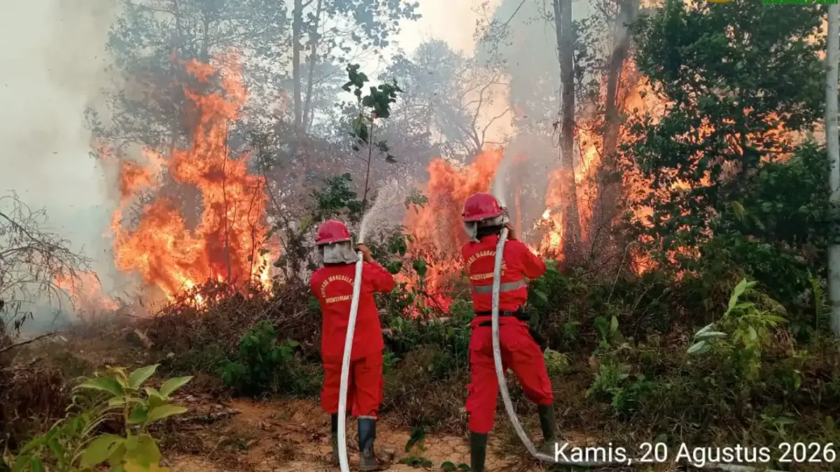 Karhutla Landa Kalimantan, Kemendikdasmen Pastikan Hak Belajar Murid Tetap Berjalan