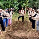 KKN 34 Umsida Bagikan 100 Bibit Cabai, Dorong Ketahanan Pangan Warga Dusun Wonomerto