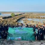 KKN Umla Kelompok 15 Tanam Mangrove di Pesisir Tunggul, Dorong Warga Jaga Lingkungan