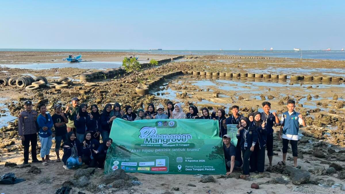 KKN Umla Kelompok 15 Tanam Mangrove di Pesisir Tunggul, Dorong Warga Jaga Lingkungan