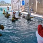 Semarak HUT ke-81 RI: PRA Bunder Asri Gelar Lomba Islami Seru di TK Aisyiyah 42 Graha Bunder Asri