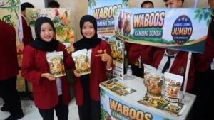 Mahasiswa UMM Ciptakan Waboos, Pakan Herbal Wafer Imunobooster untuk Atasi Ternak Kurus