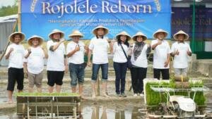 Muhammadiyah Kick Off Rojolele Reborn, Perkuat Produksi Padi dan JATAM di Klaten