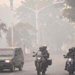 Pakar UMM Ungkap Bahaya Asap Karhutla bagi Paru-Paru