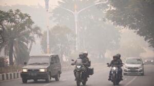 Pakar UMM Ungkap Bahaya Asap Karhutla bagi Paru-Paru