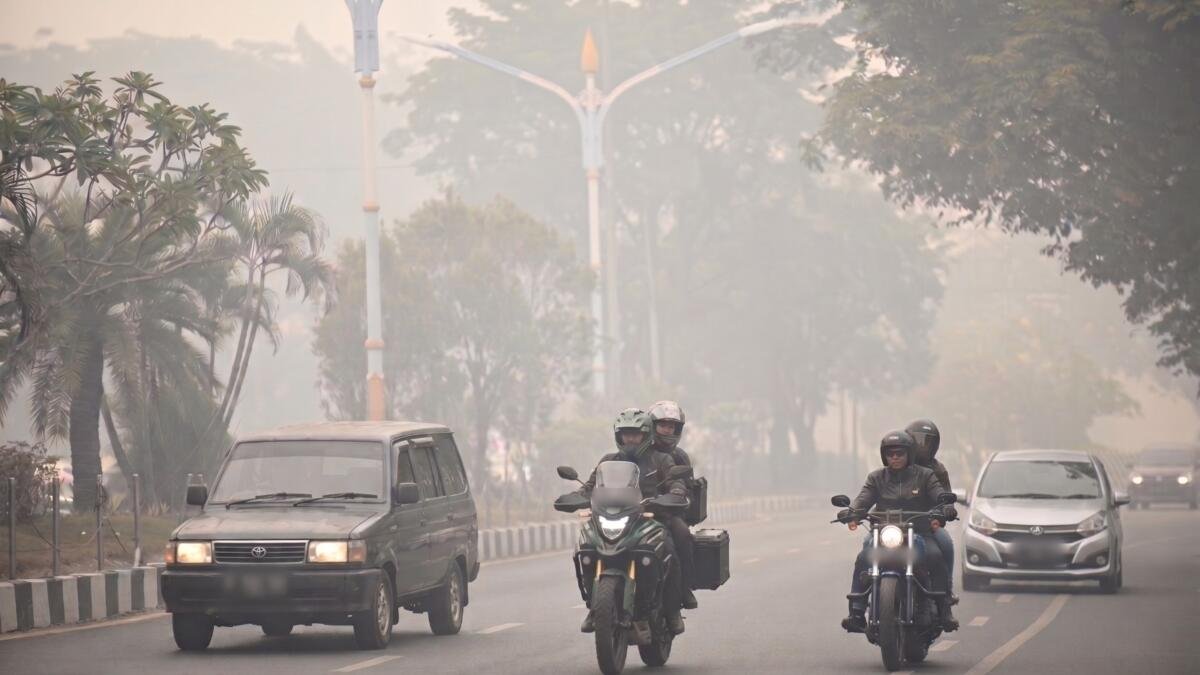 Pakar UMM Ungkap Bahaya Asap Karhutla bagi Paru-Paru