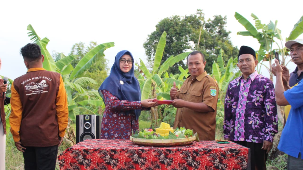 Pamsurya Karya Mahasiswa KKN Umsura Hadirkan Solusi Air Bersih Berbasis Energi Surya di Desa Sebani