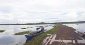 Senandung Animha