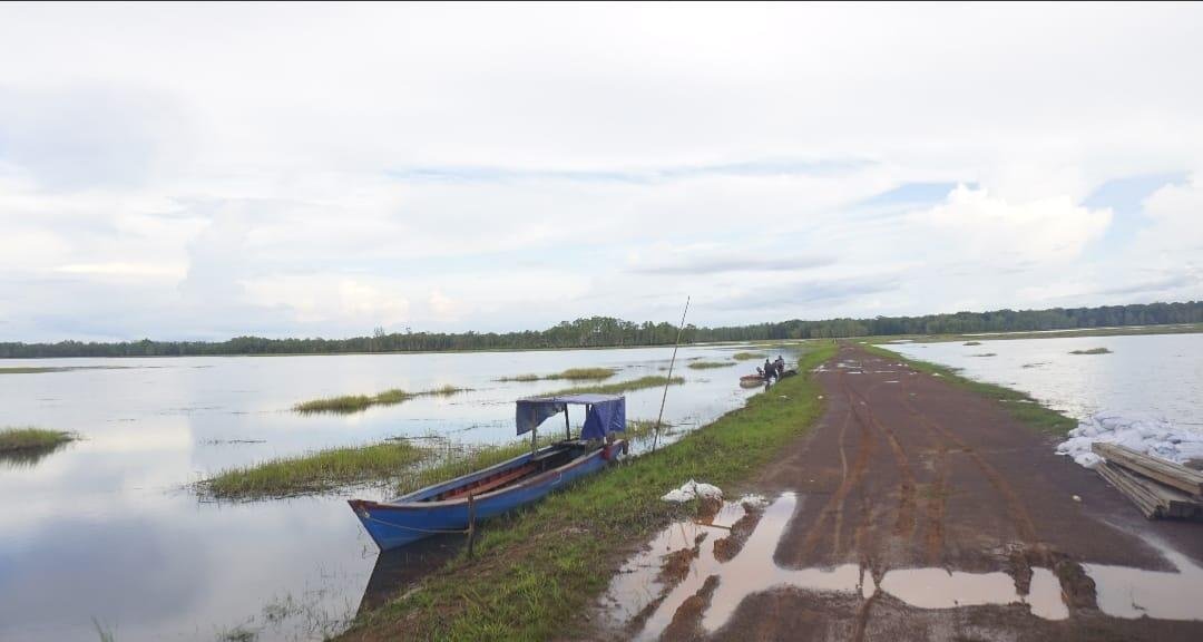 Senandung Animha