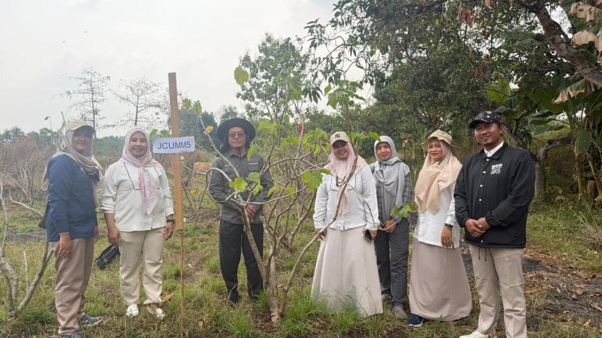 UMM Perkuat Pengembangan Energi Terbarukan Lewat Varietas Baru Jarak Pagar JCUMM5