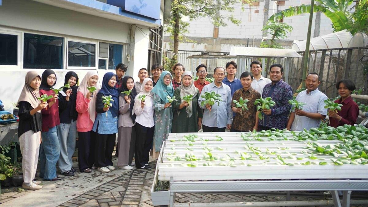 Agroteknologi Umsida Gelar Panen Raya Pakcoy Hasil Urban Farming
