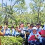 Dari Pucuk Teh hingga Secangkir Teh, Siswa Mugeb Belajar Langsung di Wonosari