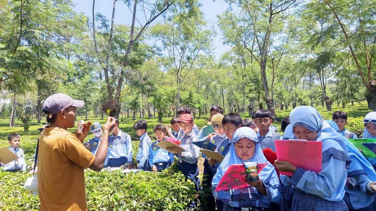 Dari Pucuk Teh hingga Secangkir Teh, Siswa Mugeb Belajar Langsung di Wonosari