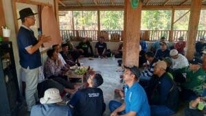 Hama Tikus Menyerang Seluruh Wilayah, Bagaimana Petani Seharusnya?
